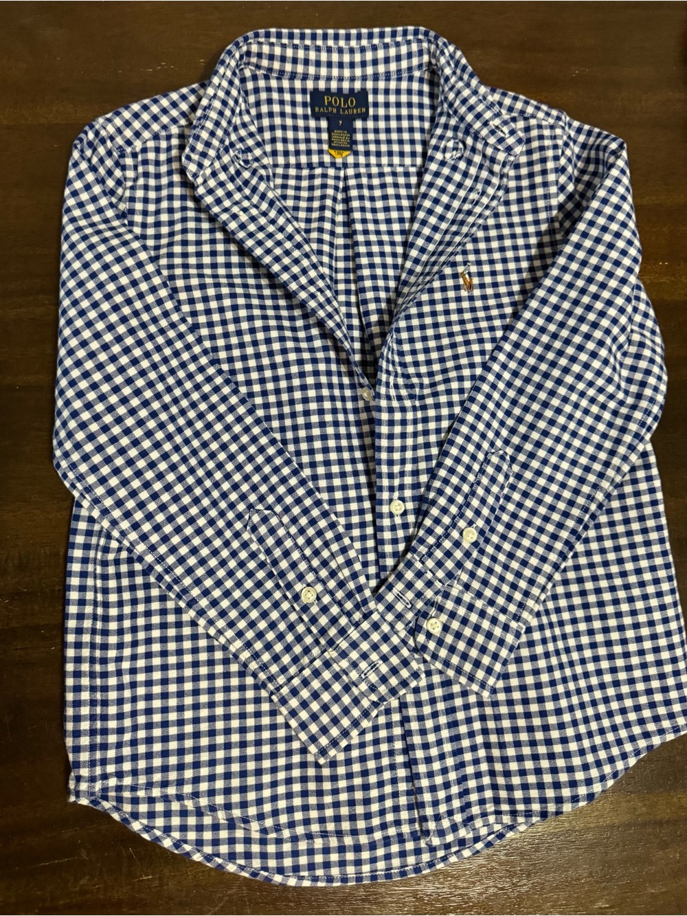 Polo by Ralph Lauren Blue & White Gingham Button-Down Shirt
